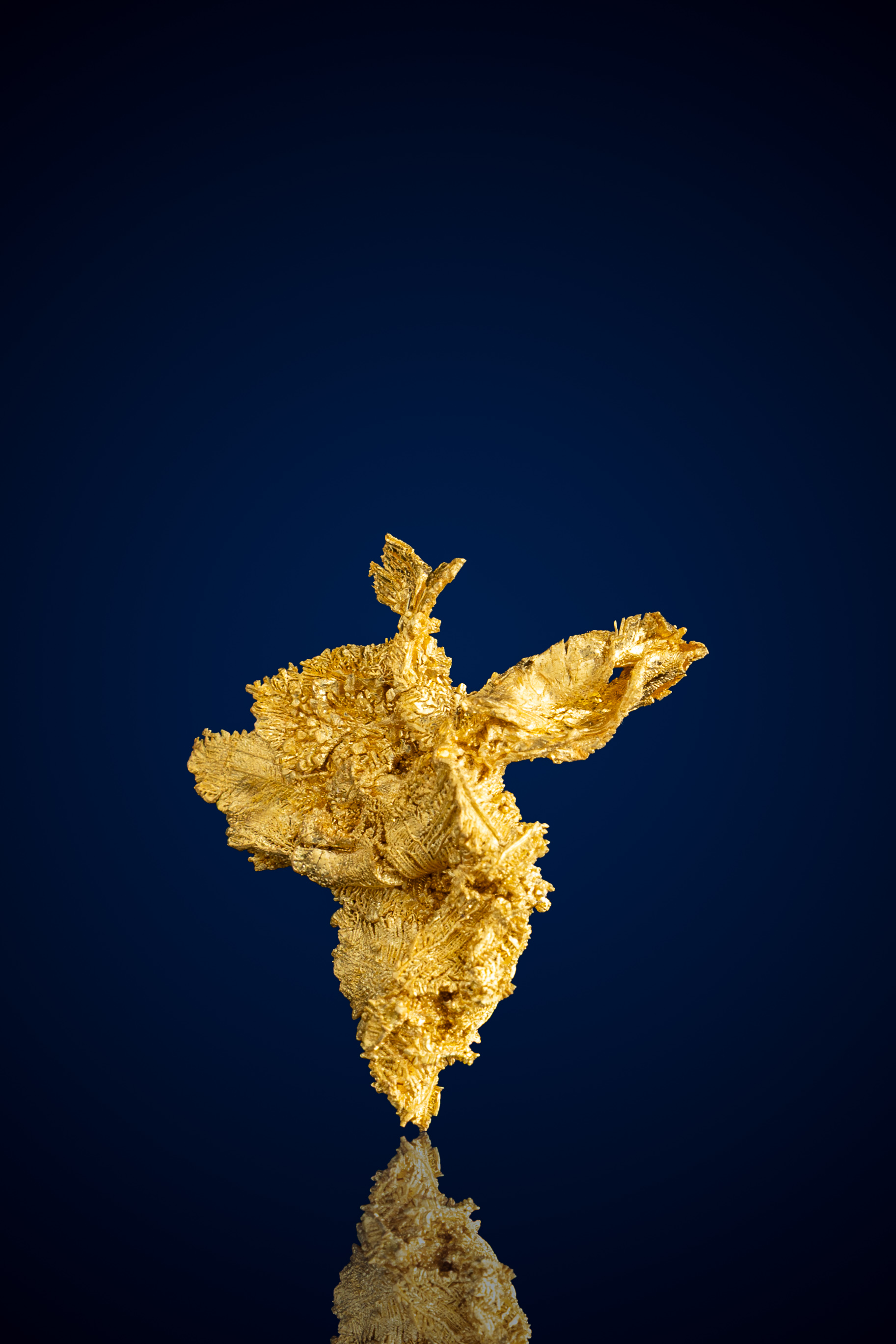 Elegant, "Winged" Crystallized Gold Nugget - Round Mountain, NV - 1.80 grams (image for) Elegant, "Winged" Crystallized Gold Nugget - Round Mountain, NV - 1.80 grams